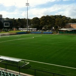 Sporting Fields Surface Installation by Thomas Green