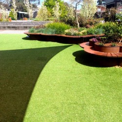 Education Surfaces by Thomas Green