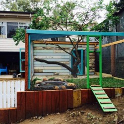 home in progress 2-resized