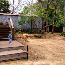 home in progress 4-resized